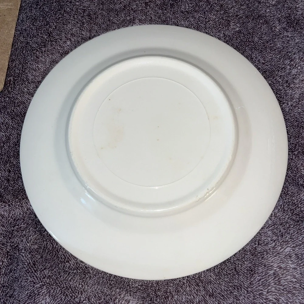 Vintage Idaho Gem State Boise Sun Valley Snake River Souvenir‎ Travel Plate